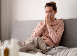 Пик заболеваемости гриппом в Ростовской области ожидается в декабре