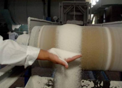 На Дону в 2018 построят первый сахарный завод