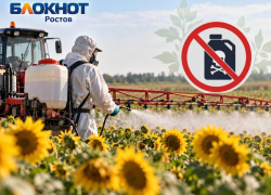 Почти 200 нарушений нашли при обработке сельхозугодий пестицидами в Ростовской области 