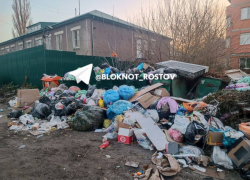 Суд в Ростовской области не стал взыскивать 367 млн рублей с обанкротившегося мусорного оператора