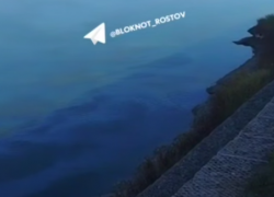 На Дону снова обнаружили мазутные пятна