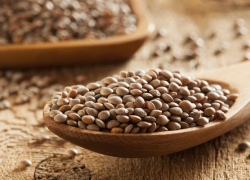 Власти Ростовской области планируют увеличить производство чечевицы в регионе