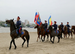 Казаки станут активными борцами с санкционными товарами в Ростовской области