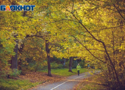 Позиция Ростовской области в национальном экологическом рейтинге ухудшилась