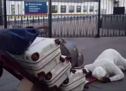 Блогер из Ростова Василенко упал на перроне и разбил свои знаменитые очки