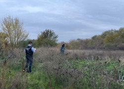 В Ростовской области убили 12-летнюю девочку