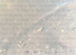 Дончанин пожаловался на фекальный пляж на месте отдыха