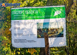 В ростовской «Дружбе» пройдет серия экскурсий и лекций в поддержку сохранения парка