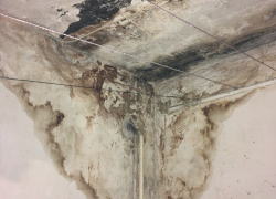 Жить со смертельно опасной плесенью вынуждают ростовчан из-за нескольких коммунальных должников