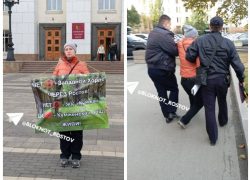 Пикетчицу с плакатом против вырубки Кумженской рощи задержали в Ростове