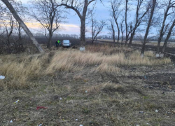 В Ростовской области водитель погиб в ДТП из-за столкновения с деревом