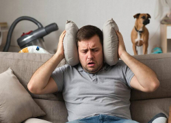 Жителей Ростовской области могут наказать за громкие ссоры и лай собак дома  