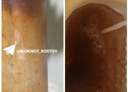 Администрация отрицает, а жители продолжают показывать насекомых в жиже вместо воды в Ростовской области 