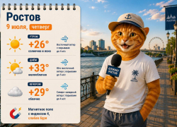 9 июля Ростов накроет зной до +33 градусов