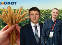 «Урожай зависит не только от погоды»: представители отрасли о прогнозах и рисках для донских фермеров