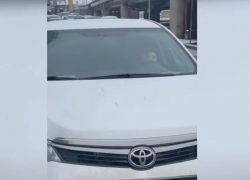 Двое полицейских спасли женщину на оживленной дороге в Ростове 