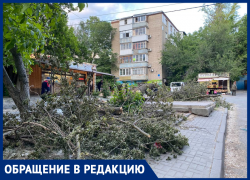 В Ростове жители пожаловались на неубранные ветки с начала весны