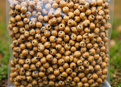 Из Ростовской области отправили 42 тонны кормов в Азербайджан