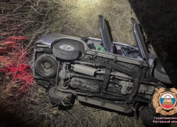 В Ростове-на-Дону водитель внедорожника погиб после падения с надземного моста