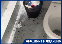 В стоматологической поликлинике №4 Ростова пациента встретили не врачи, а тараканы