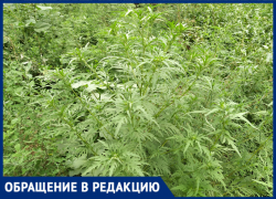 Железнодорожный район Ростова — лидер по неблагоустройству?