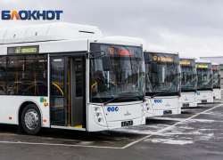 В Ростове сократилась нехватка водителей общественного транспорта