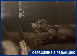 Центр Ростова затопило из-за ливня 13 декабря: видео