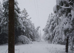 В Ростовской области 8 районов остались без электричества из-за ледяного дождя и мокрого снега