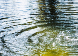 Под Ростовом в водоёме нашли тело пропавшего пенсионера