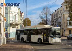 В Ростов привлекут водителей автобусов из Республики Алтай