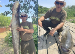 Историей поимки 37-килограммового сома методом троллинга поделился ростовский рыболов