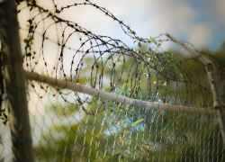 Педофил-рецидивист изнасиловал в Таганроге школьницу