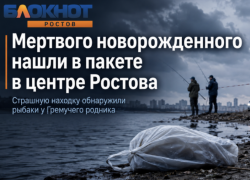 Мертвого новорожденного ребенка нашли в пакете выброшенным в центре Ростова  — Источник Блокнот