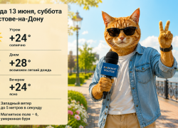 Солнечно и до +28 градусов: какая погода ждет ростовчан 13 июня