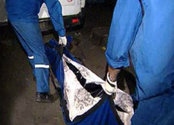 Фура переехала упавшую на дорогу женщину под Ростовом
