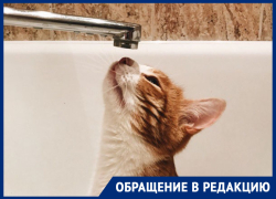 Жители поселка Каратаево в Ростове каждое лето вынуждены жить без воды