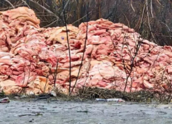 Прокуратура начала проверку после находки выброшенного сырого мяса на трассе в Ростовской области