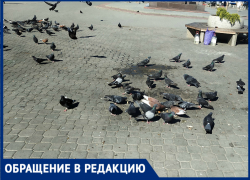 Ростовчанка пожаловалась на грязь на Соборной площади