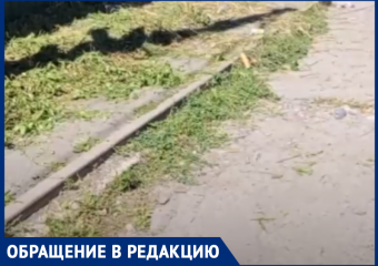 Хотели как лучше: в Ростове после покоса травы тротуар стал непроходимым
