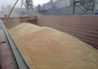 Донская компания «Зерно-Трейд» уходит с рынка из-за миллиардных долгов и падения выручки