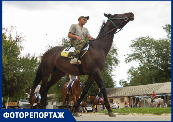 В Ростове прошел конный митинг в защиту ипподрома