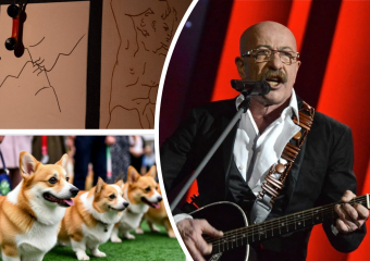 Ростовчан зовут послушать Розенбаума, посмотреть спектакль-триптих и оценить собак