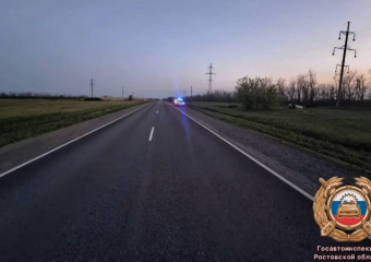 Водитель иномарки погиб из-за потери управления на трассе под Ростовом