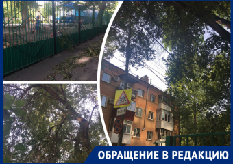 «Кого-нибудь убьет током»: в Ростове рядом с детским садом сухие ветки от деревьев падают на линии электропередач