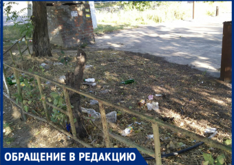Много месяцев на Западном в Ростове никто не убирает свалку
