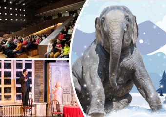 Ростовчан приглашают незабываемо отметить День матери и «Слоноуин»