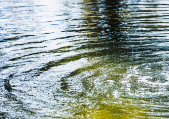 Двое ростовских подростков решили переплыть Дон и утонули на глазах спасателей