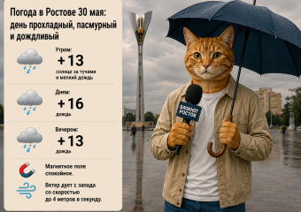 В Ростове продолжатся дожди и похолодание 30 мая