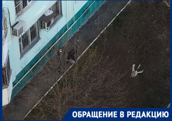 «Коронавирус наркоманам не помеха»: ростовчанка сняла на видео двух мужчин, роющихся в земле в поисках закладки