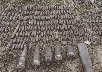 В Ростовской области у жителя в сарае нашли склад боеприпасов